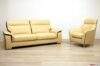 Salón moderno de cuero amarillo y marrón